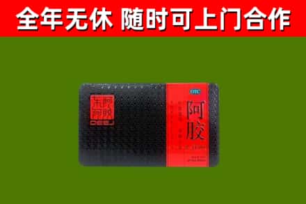 阳西县回收阿胶
