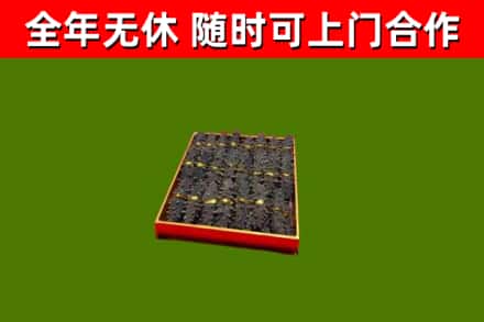 阳西县回收海参